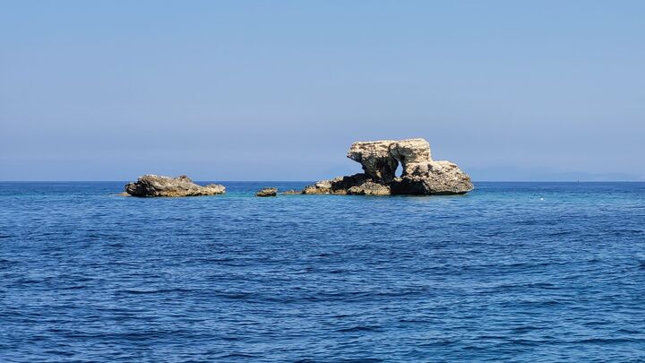 Paxos