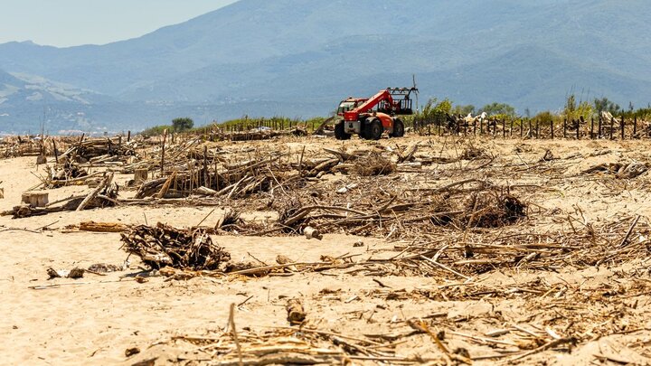 "Un travail assez harassant" : envahie de bois, cette plage près
