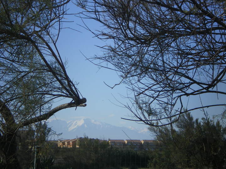 Les Amis des Villages de Leucate