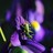 Les Jardiniers Naturistes