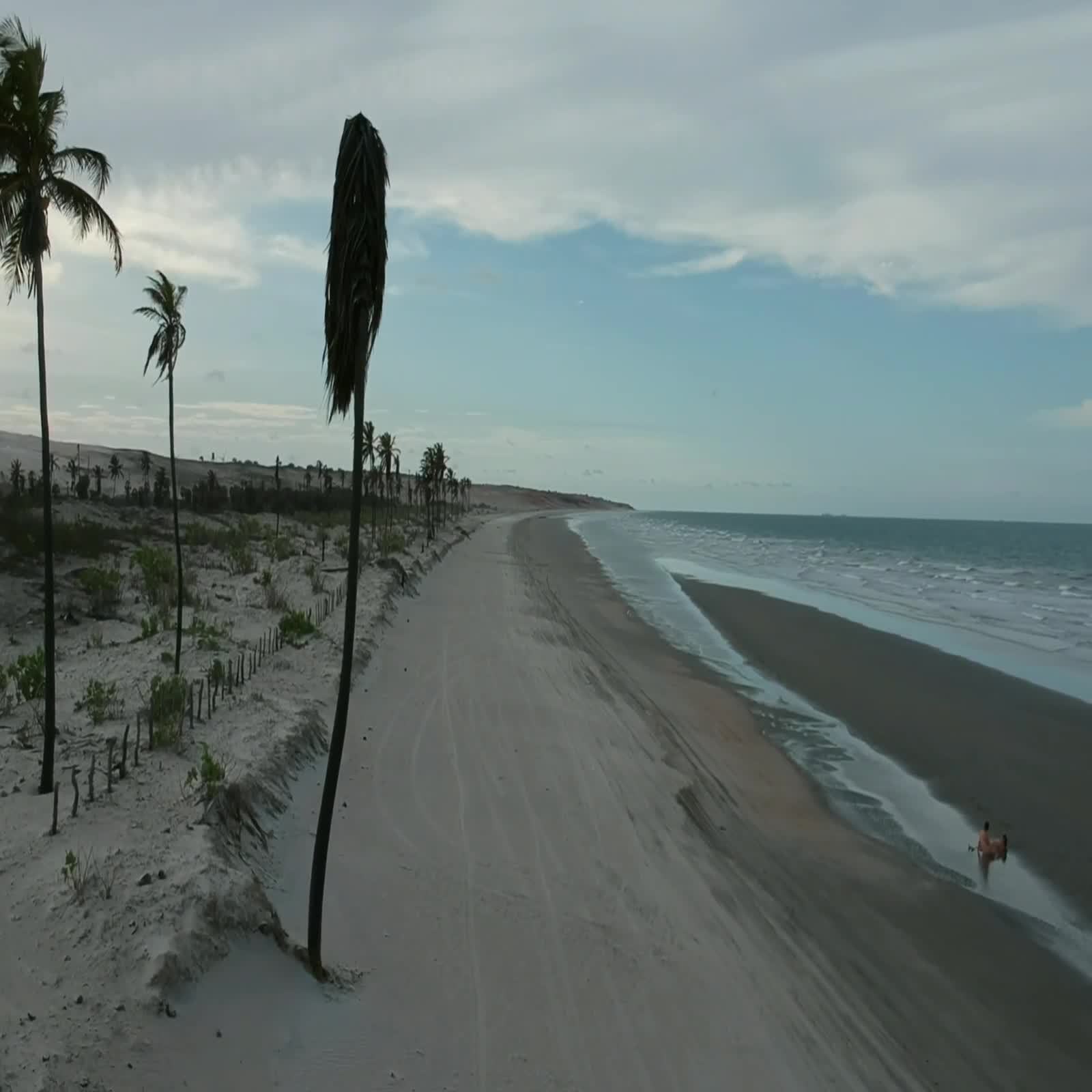 Br\u00e9sil plage sauvage