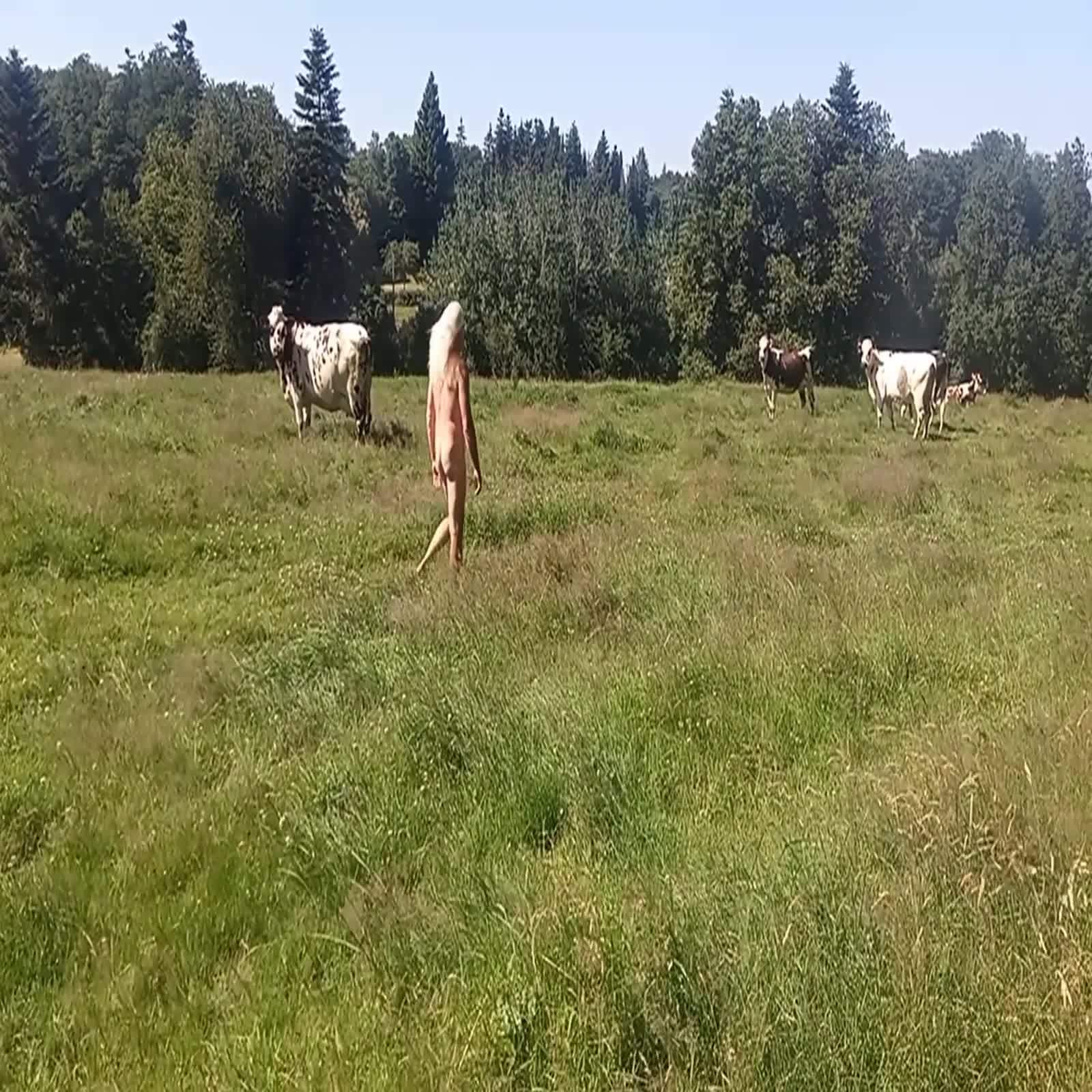 visite de courtoisie